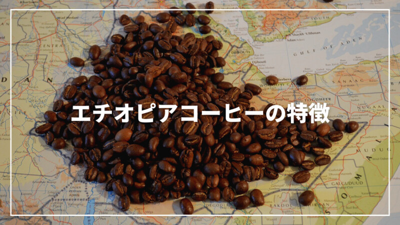 エチオピアコーヒーの特徴とは？豆の種類から産地まで専門家が解説