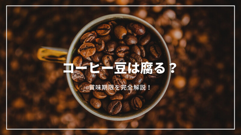 【決定版】コーヒー豆は腐るの？具体的な賞味期限はどのくらいか完全解説