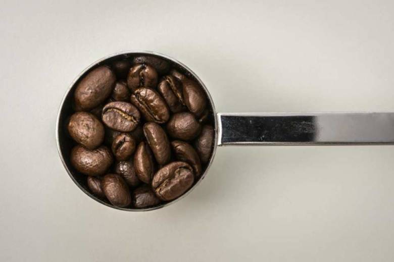種類の違いによるコーヒー豆の特徴