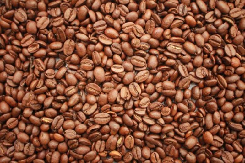 コーヒー豆の鮮度はかなり重要