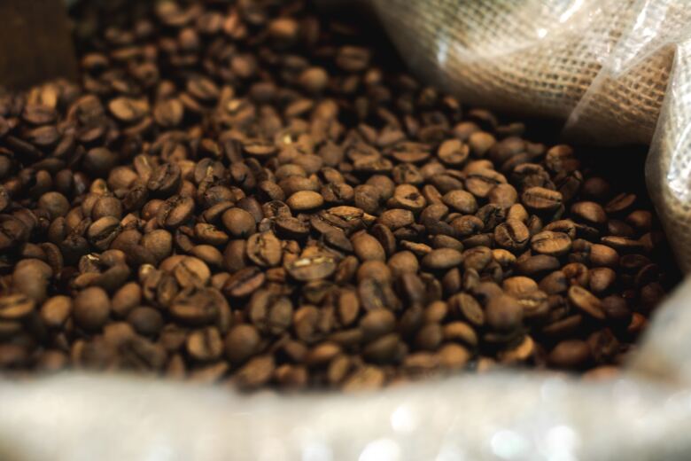 コーヒー豆の栽培