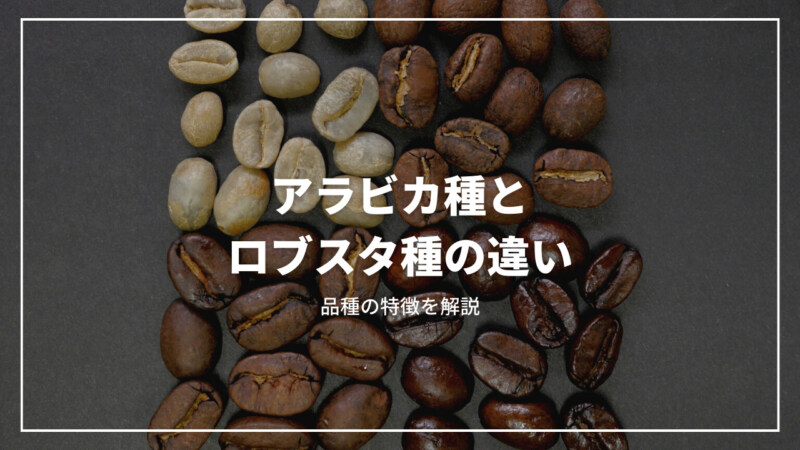 アラビカ種とロブスタ種の違いとは？コーヒー豆の品種の特徴を解説