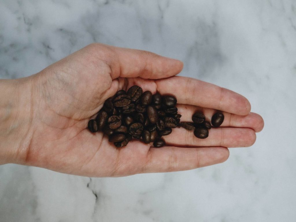 アラビカ種とロブスタ種はカフェイン含有量も違う