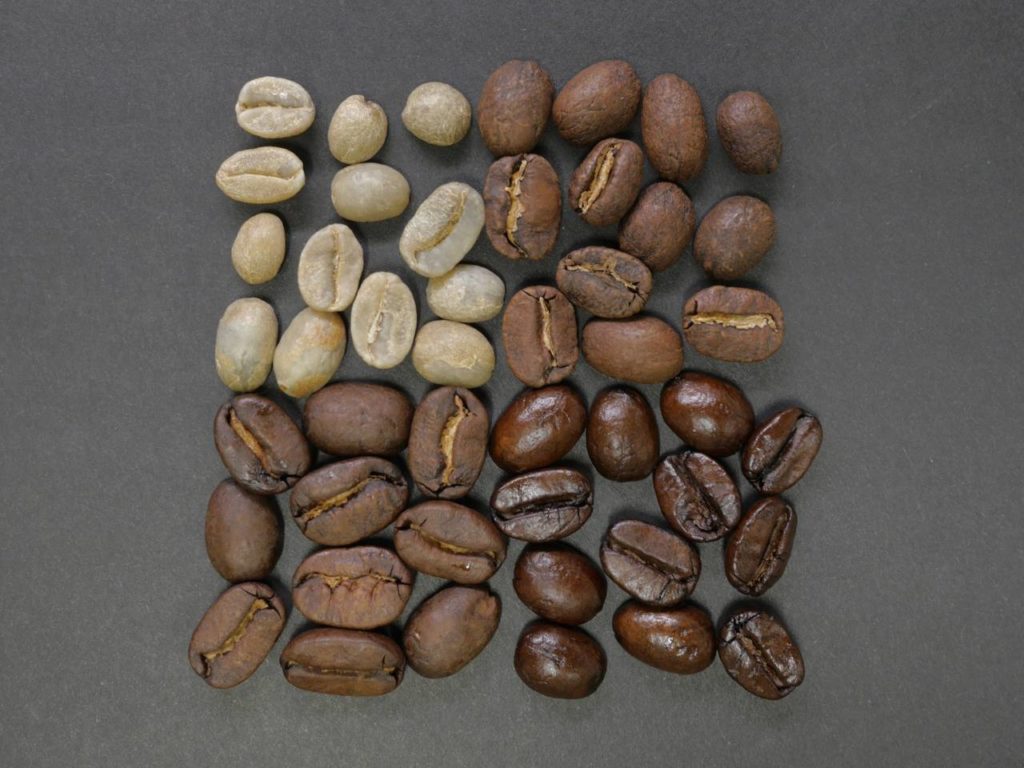 ロブスタ種とアラビカ種の違いとは？コーヒー豆の品種の特徴を解説