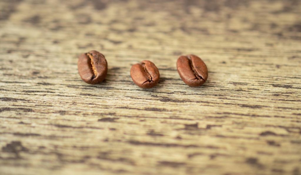 コーヒーの欠点豆とは？種類から焙煎後の見分け方まで徹底解説
