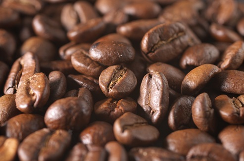コーヒー豆の種類(タイプ)の違い 