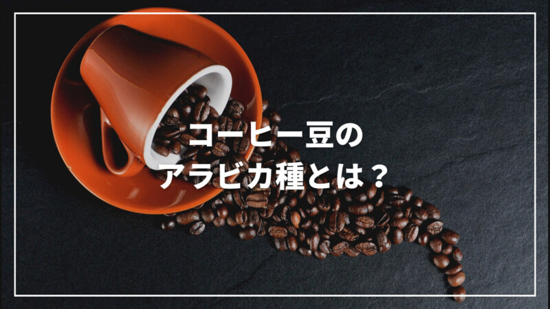 【最新】コーヒー豆のアラビカ種とは？特徴や種類の違いについて徹底解説