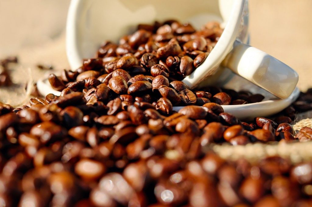 コーヒー豆・ロブスタ種の特徴