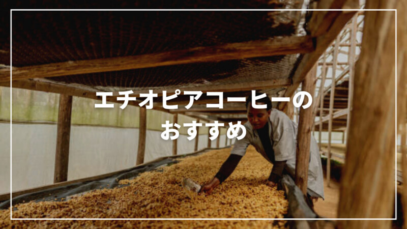 【ソムリエ監修】エチオピアコーヒーのおすすめ人気ランキング12選！