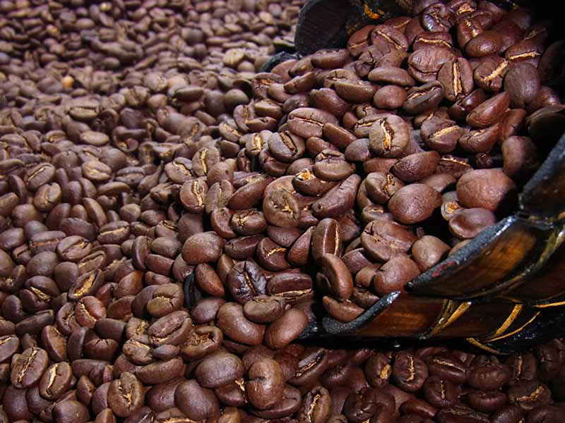 バランス型で飲みやすい「コーヒー白豆屋・黒豆屋 特選コーヒー　ケニアAA」