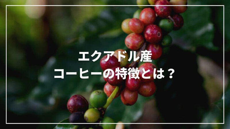 【決定版】エクアドル産コーヒーの特徴とは？その味わいやおすすめを紹介