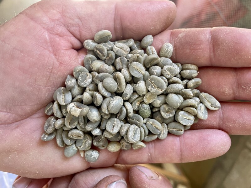 コーヒーの本場 中南米に行って豆を調達するまでに