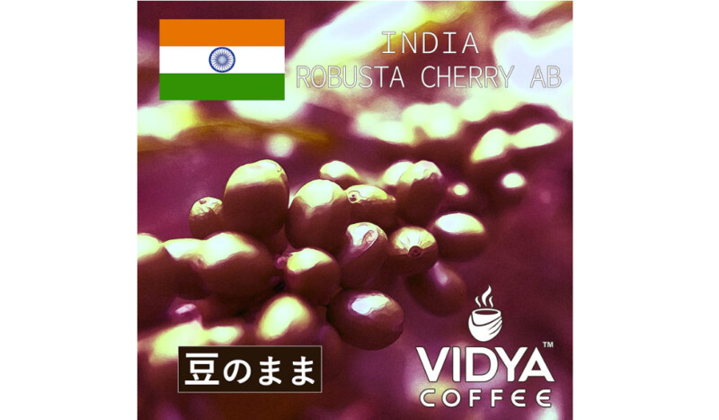 VIDYA COFFEE インド ロブスタチェリー