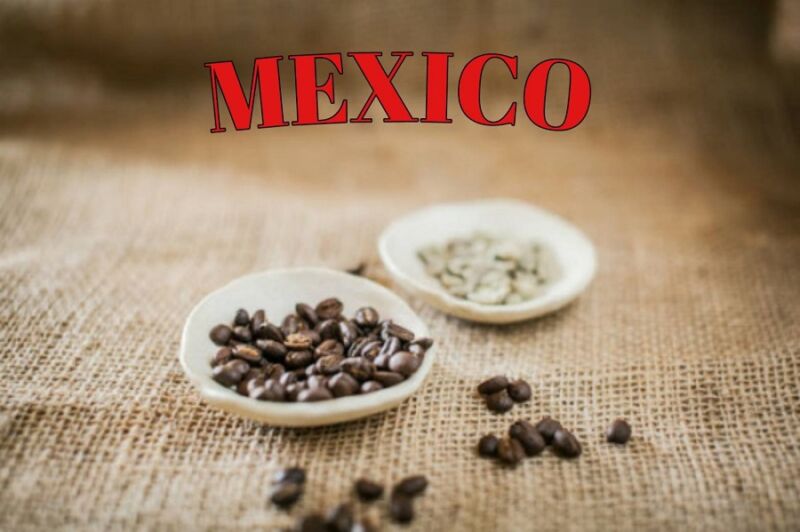 もぎたてのフルーツのような味わい「MELLOW COFFEE メキシコ クスぺテック ウォッシュド」