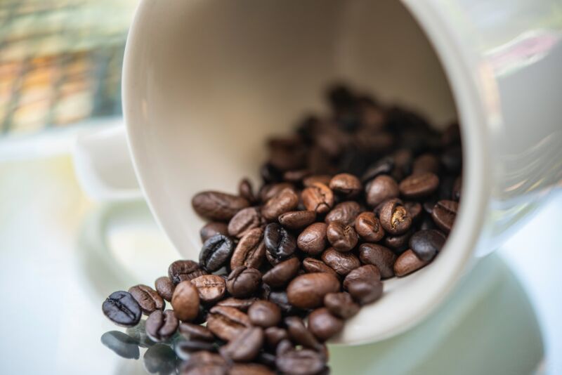 MELT COFFEEは本場ブラジルのコーヒー豆を使用
