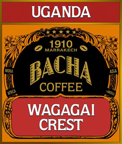 第2位. バランスの取れた酸味を持つウガンダコーヒー「ワガガイクレスト コーヒー」