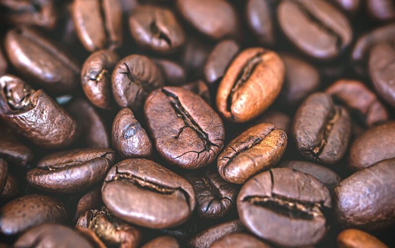 コーヒーの種類