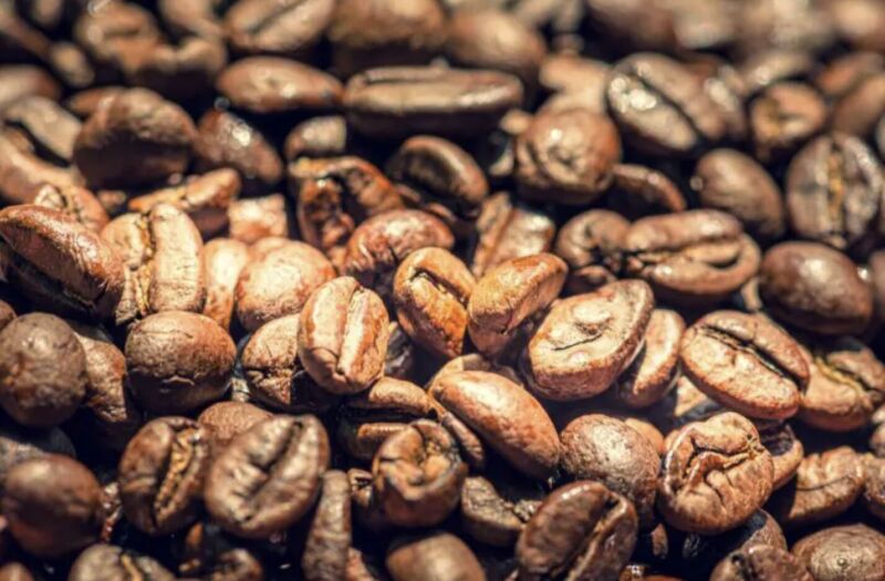 コーヒーの欠点豆の使い道・活用方法12選！芳香剤から美容にまで役立つ