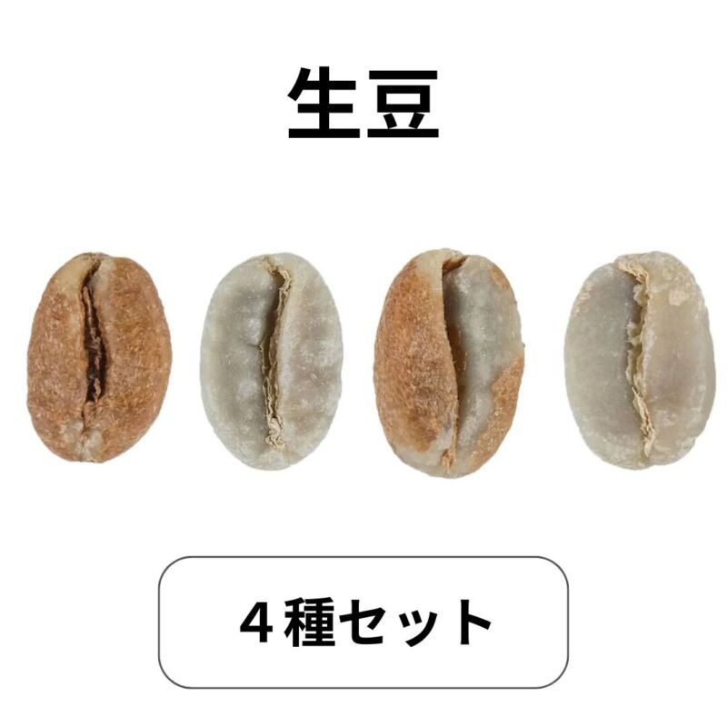 ４種セット コーヒー生豆