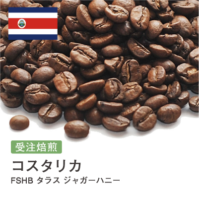 2. 繊細な風味の希少なコーヒー「大山珈琲 コスタリカ FSHB タラス ジャガーハニー」